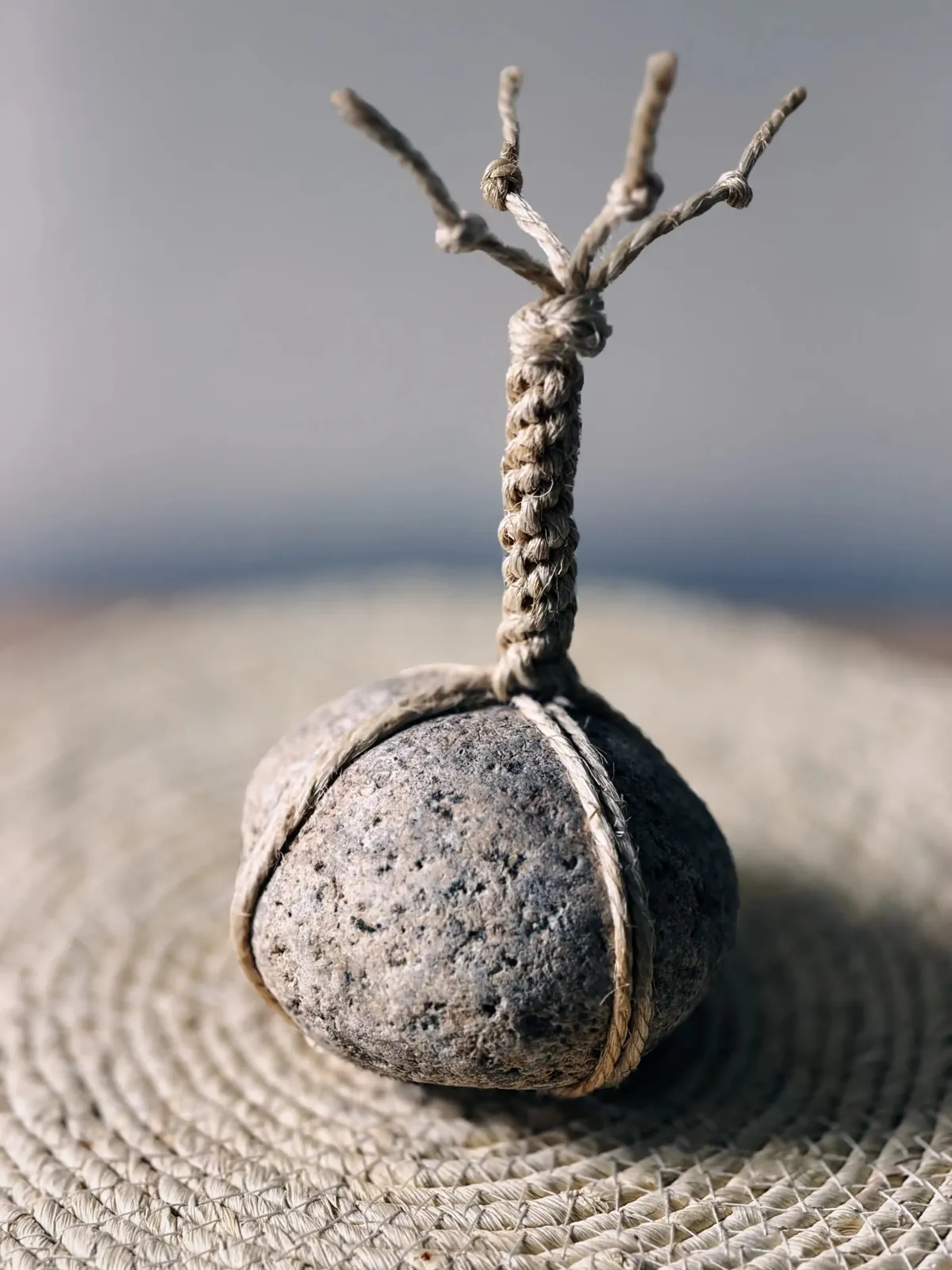 Grande pierre sekimori n°7, nœud de corde brute dressé en branches